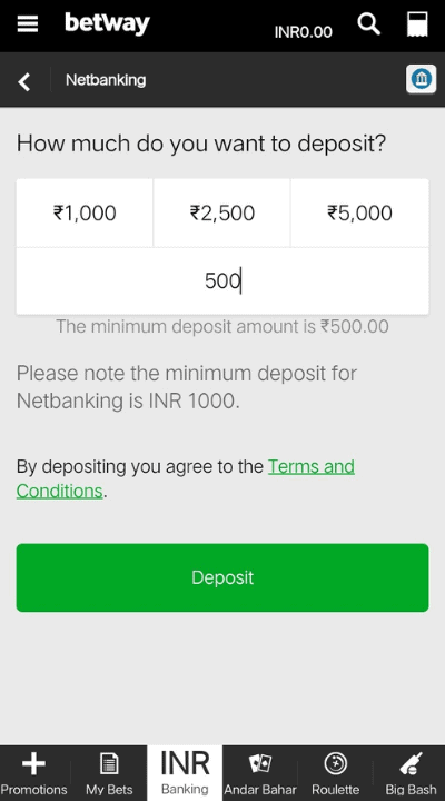 Enter the amount and confirm the deposit