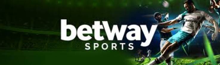 Betway India Review 2021: The Best Odds on Cricket!