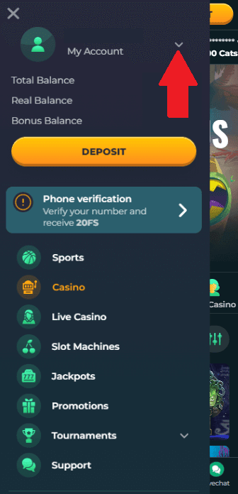 Screenshot of the second step to withdraw at RokuBet